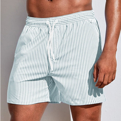 Men's Shorts Summer Casual Lightweight Beach Pants
