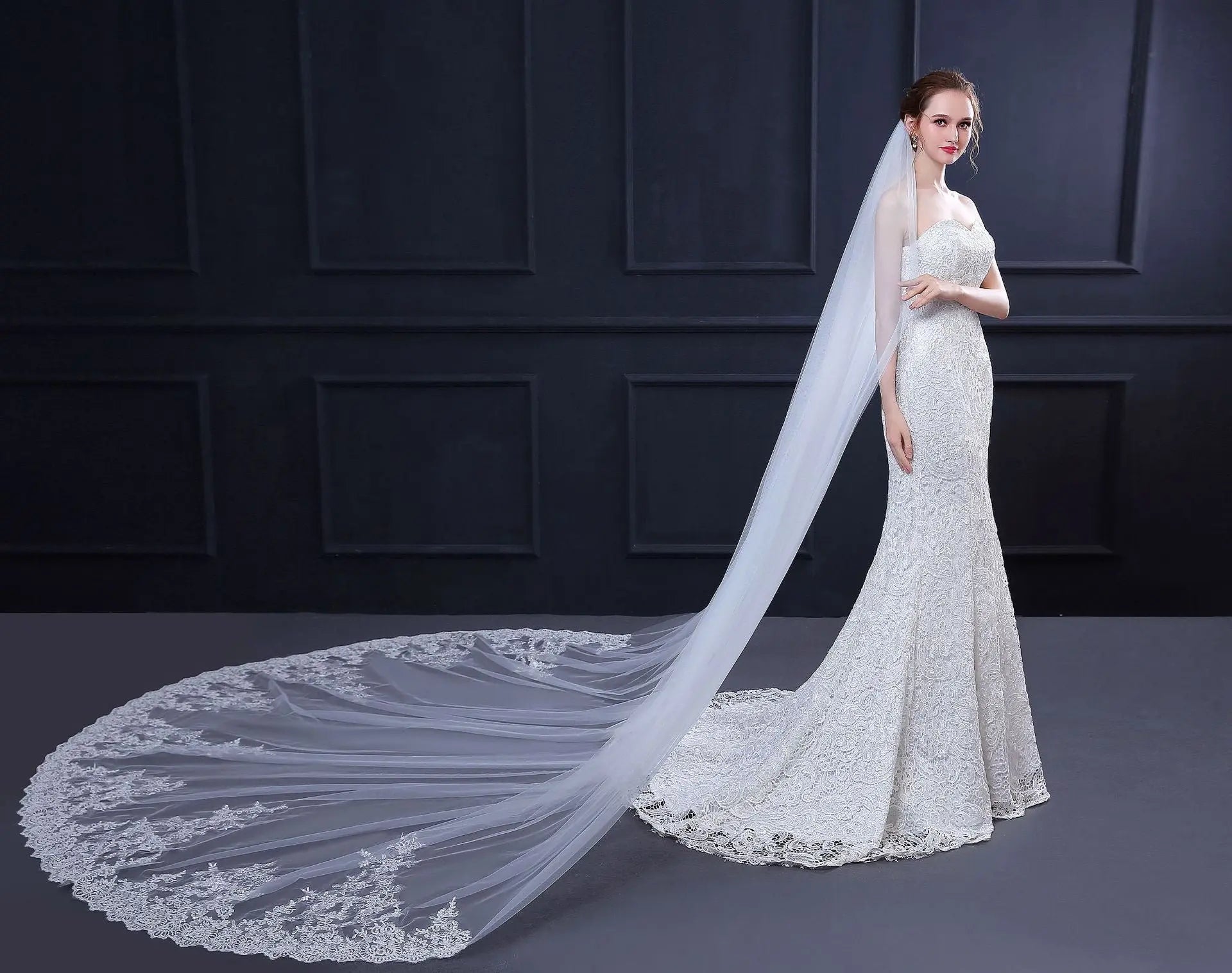 New Wedding Veil Long Trailing Lace - WAlMYe #