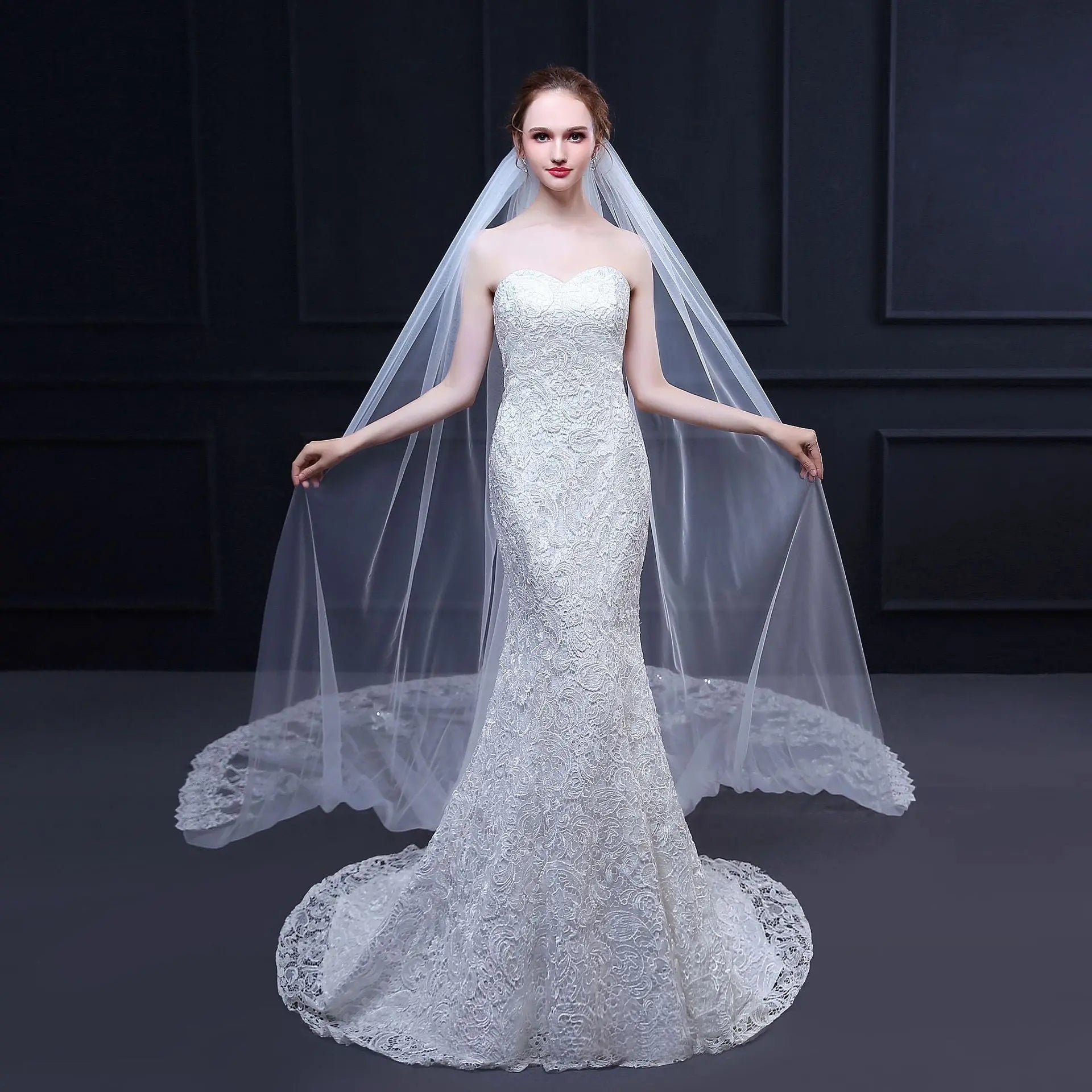 New Wedding Veil Long Trailing Lace - WAlMYe #