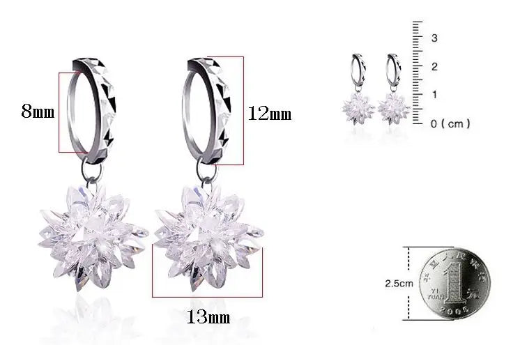 New fashion pure beauty ice 925 silver earrings hypoallergenic non-fading earrings - WAlMYe #