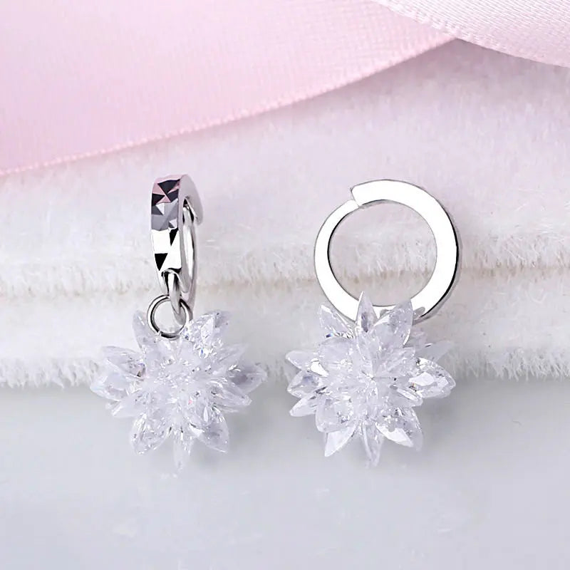New fashion pure beauty ice 925 silver earrings hypoallergenic non-fading earrings - WAlMYe #