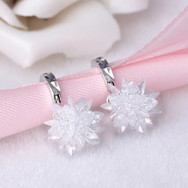 New fashion pure beauty ice 925 silver earrings hypoallergenic non-fading earrings - WAlMYe #