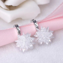 Load image into Gallery viewer, New fashion pure beauty ice 925 silver earrings hypoallergenic non-fading earrings - WAlMYe #
