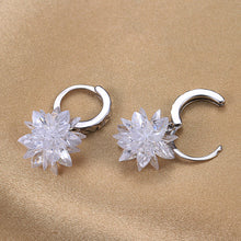 Load image into Gallery viewer, New fashion pure beauty ice 925 silver earrings hypoallergenic non-fading earrings
