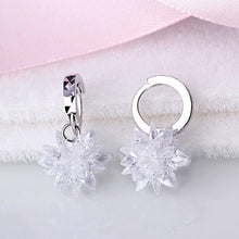 Load image into Gallery viewer, New fashion pure beauty ice 925 silver earrings hypoallergenic non-fading earrings
